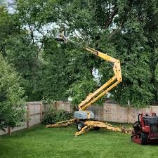 Best Landscape Design and Installation  in Lackawanna, NY